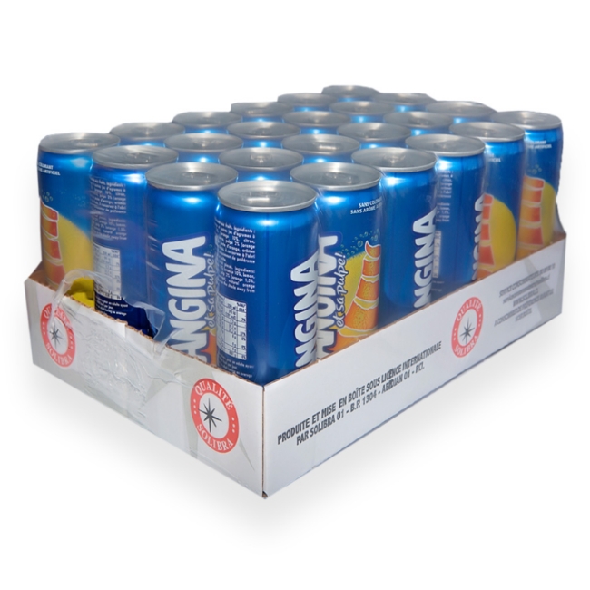 ORANGINA canette 33 cl (carton de 24)