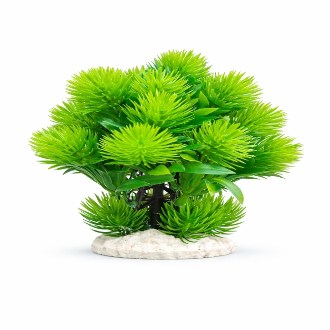 plante artificielle  Inspir&eacute;e du Myriophyllum aquaticum (appel&eacute; aussi Myriophylle du Br&eacute;sil ou plante aquatique plumeuse)